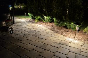 Walkway and bushes under lights