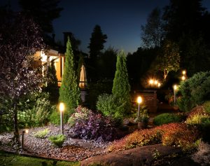 Illuminated garden at night