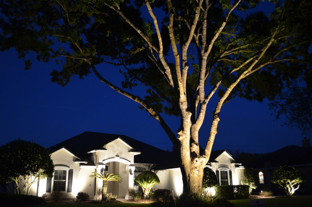 Exterior home lighting on house front and tree