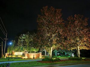 commercial landscape lighting with tree illumination