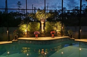 Elegant outdoor landscape lighting in a pool area